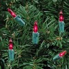 Novelty Lights 50 Light Incandescent Mini Christmas String Lights Green Wire 11 Feet - 4 of 4