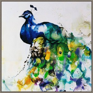 30" x 30" Peacock Plumes and Feathers by Sydney Edmunds - Amanti Art: Modern Lithograph Canvas - 1 of 4