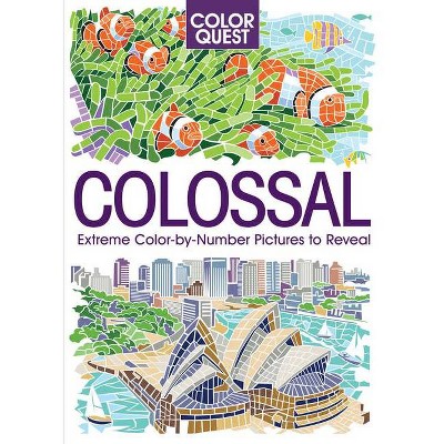 Color Quest: Colossal - (Paperback)