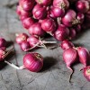 Van Zyverden 25ct Allium Red Bulbs - 3 of 4
