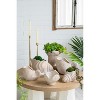 Gulches Conch Shell Planter 9x5.5x5.7", Sand and Cement with Textured Beige Finish Coastal/Rustic/Bohemian Decor - 3 of 4