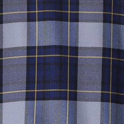 classic navy plaid