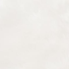 polar white