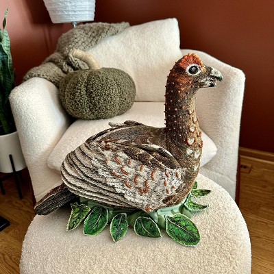 Guest review image 1 of 1, zoom in