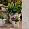 Bloem Ariana Round Resin Planter Pot Indoor and Outdoor Gardening - 2 of 4