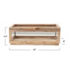 Storied Home Mango Wood and Glass Display Box with Lid, Clear - 2 of 4