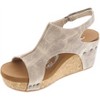 Women's Wo's Liberty Platform Wedge Sandal - Very G - 2 of 4