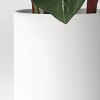 Artificial Potted Leaf in Modern Ceramic Pot Dark - Threshold™: Faux Philodendron, Indoor Decor, Stoneware Base - 4 of 4