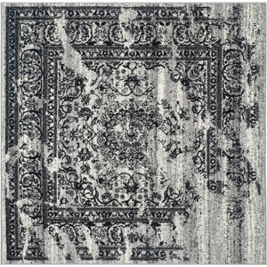 Adirondack ADR101 Non-Shedding Power Loomed Indoor Rugs - Safavieh - 1 of 4
