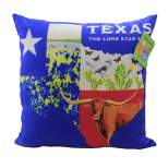 Home Decor 17.5" Texas Collage Climaweave Pillow Lone Star State  -  Decorative Pillow