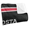 Valdosta State University Primary Logo Stripes Silky 50x60 Blanket, 1 Sided - 3 of 4