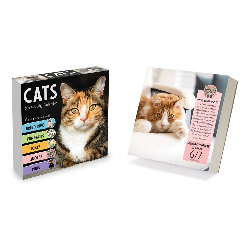 Angry Cat 2021 Wall Calendar