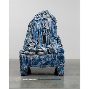 Matt Wedel: Phenomenal Debris - by  Diane C Wright (Hardcover) - 1 of 1
