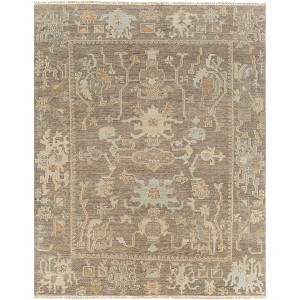 Hauteloom Berke Wool Living Room, Bedroom Area Rug - Traditional - 1 of 2