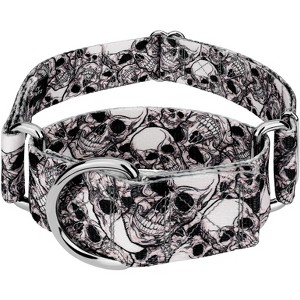 Country Brook Petz HossFit Jr Wide Martingale Dog Collar - Halloween Collection - 1 of 4