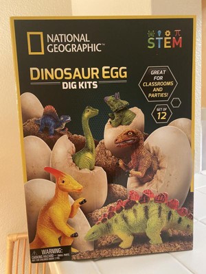 thumbnail image 2 of PowerKing Dinosaur Eggs Digging Kits, 12 Dinosaur Digging 2 of 11