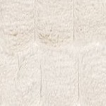 nia beige