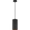 Progress Lighting, Cylinder, 1-Light, Outdoor LED Hanging Pendant, Antique Bronze, Cylinder Shade - 2 of 2