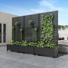 PexFix 72 in. H x 35 in. W Black Metal Rectangle Wall Planter Box with Trellis for Climbing Plants - 2 of 4