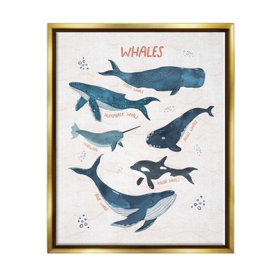 Stupell Industries Nautical Diagram Whale Narwhal Types Bubbles Illustration