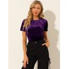 INSPIRE CHIC Women's Velvet Crew Neck Short Sleeve Casual Blouse - 2 of 4