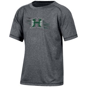 NCAA Hawaii Rainbow Warriors Boys' Gray Poly T-Shirt - 1 of 3
