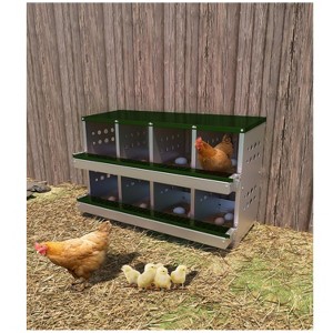 GustoWave 8-Compartment Chicken Nest Box  with Egg Collection Tray and 8 Fake Training Eggs - 1 of 4
