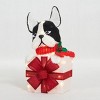 Everstar 22" UL PLUSH BULLDOG IN GIFT BOX SCULPTURE, Red - 3 of 4