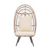 Sunsitt Steel Wicker Outdoor/Indoor Egg Chair - 4 of 4