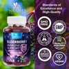 Elderberry Gummies Immune Support Gummy Vitamins C & Zinc, Potent Black Sambucus - 120 Gummies By Nature's Nutrition - 3 of 4