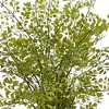 13" x 16" Artificial Maiden Hair Plant in Decorative Planter - Nearly Natural: Indoor Greenery Decor - 2 of 3