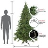 Northlight Real Touch™ Pre-Lit Artificial Birch River Fir Christmas Tree - 7.5' -  Candlelight Clear Lights - 3 of 4