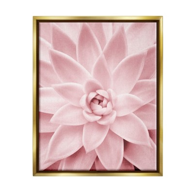 Stupell Industries Pastel Pink Succulent Framed Floater Canvas Wall Art