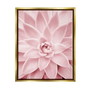 Stupell Industries Pastel Pink Succulent Framed Floater Canvas Wall Art - 1 of 4