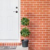 Home Heritage 3 Foot Artificial Topiary Tree w/ Clear Lights for Entryway Decor - image 4 of 4