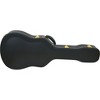 Silver creek vintage dreadnought 2024 archtop case black