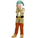 HalloweenCostumes.com Disney Toddler Boy's Sleepy Dwarf Costume.
