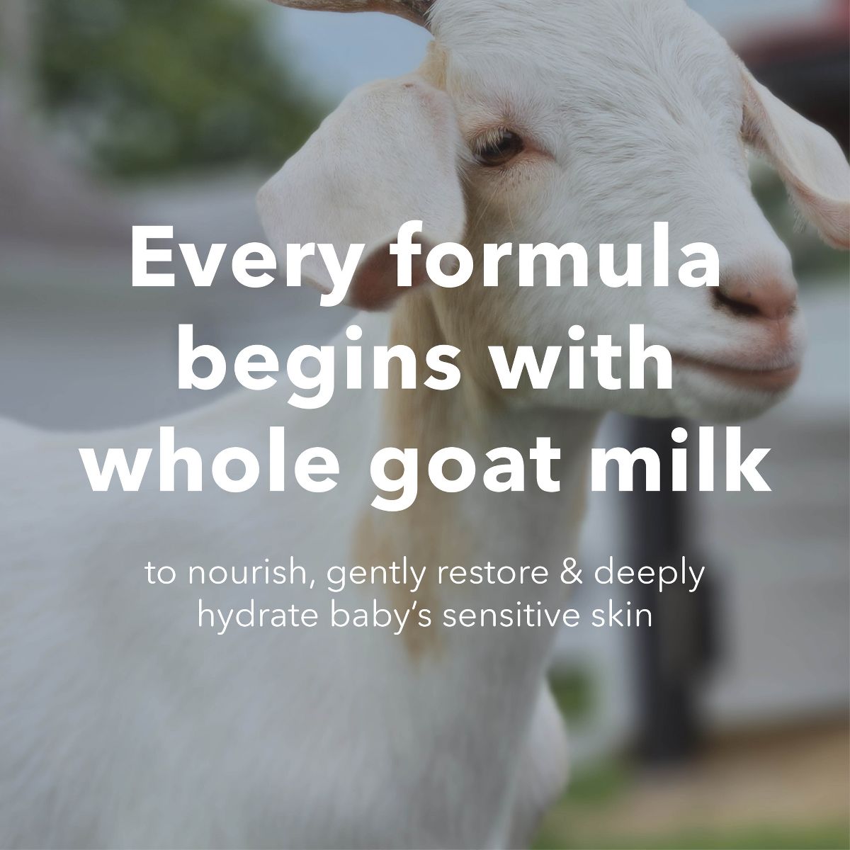 Baby Fragrance Free Goat Kit, 5pc - thumbnail 4