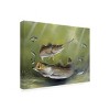 Trademark Fine Art -Geno Peoples 'Speckled Trout' Canvas Art - 4 of 4