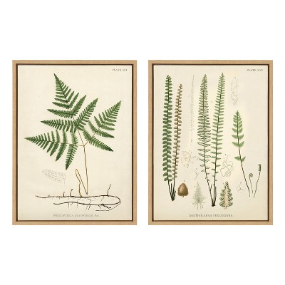 18" x 24" (Set of 2) Sylvie Ferns by Corinna Buchholz of Piddix Framed Wall Canvas Set Natural - Kate & Laurel All Things Decor