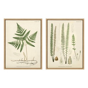 18" x 24" (Set of 2) Sylvie Ferns by Corinna Buchholz of Piddix Framed Wall Canvas Set Natural - Kate & Laurel All Things Decor - 1 of 4