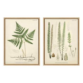 18"x24" Sylvie Ferns Wall Canvas Set by Corinna Buchholz - Framed Botanical Art, UV-Resistant Inks, Easy-to-Hang, Locally Framed in Wisconsin