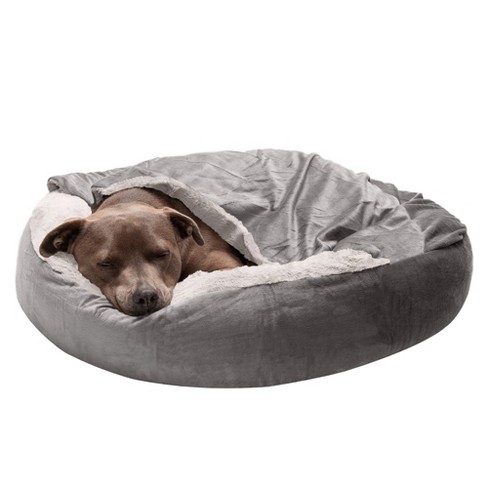 target dog bed medium