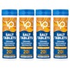 Venture Pal Salt Tablets Chewable Electrolytes, Orange, 4 Tubes, 20 Tablets Each - 3 of 4