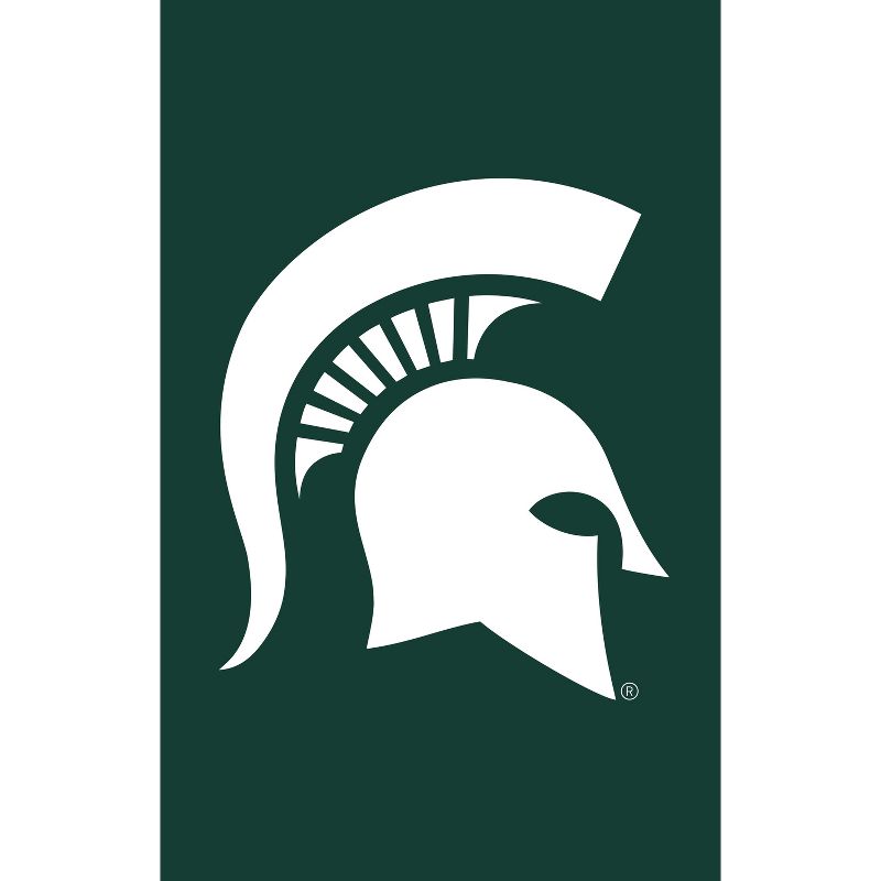 Evergreen NCAA Michigan State University Applique House Flag 28 x 44 Inches Outdoor Decor for Homes and Gardens, 1 of 8
