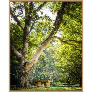 23" x 28" A Place to Ponder Tree by Matt Marten Framed Canvas Wall Art Print - Amanti Art: Hand-Stretched, Polystyrene Frame - 1 of 4