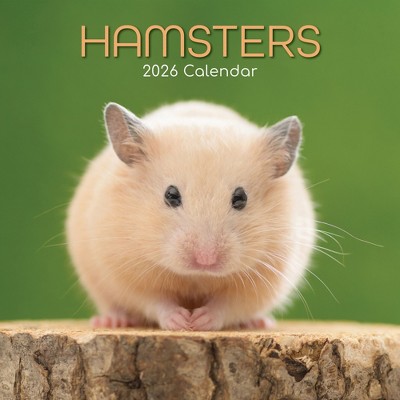 2026 Square Wall Calendar, Hamsters, 16-Month Animals Theme with 180 Reminder Stickers (12x12 In)