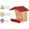 JCS Wildlife Modern Style Cedar Robin Roost with Poly Lumber Roof - 3 of 4