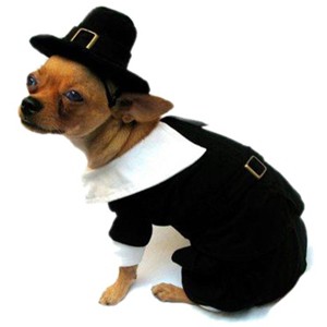 Puppe Love Pilgrim Boy Small Dog Costume - 1 of 2
