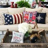 C&F Home 18" x 18" Cat Caravan 4th of July Patriotic, Printed Cotton Square Throw Pillow Large - 4 of 4